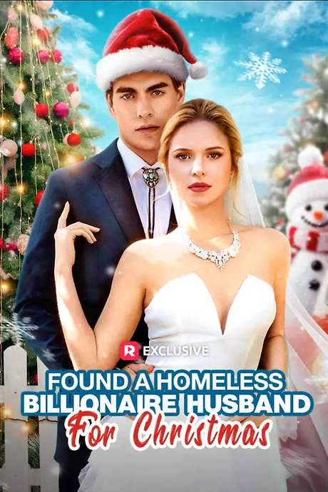 Found a Homeless Billionaire Husband for Christmas
